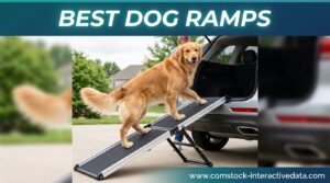 Best Dog Ramps