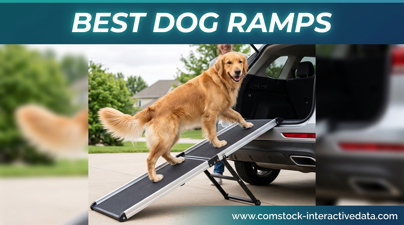 Best Dog Ramps