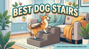 Best Dog Stairs