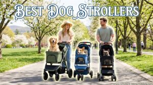 Best Dog Strollers