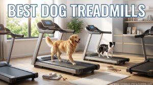 Best Dog Treadmills
