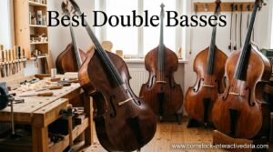 Best Double Basses