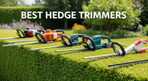 Best Hedge Trimmers