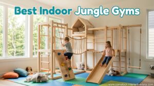 Best Indoor Jungle Gyms