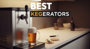 Best Kegerators
