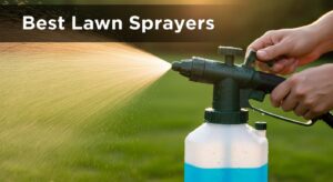 Best Lawn Sprayers
