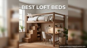 Best Loft Beds