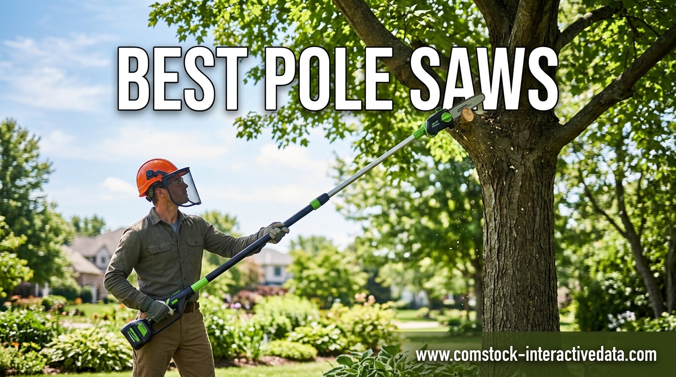 Best Pole Saws