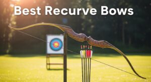 Best Recurve Bows