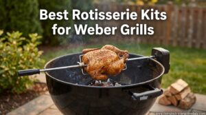Best Rotisserie Kits for Weber Grills