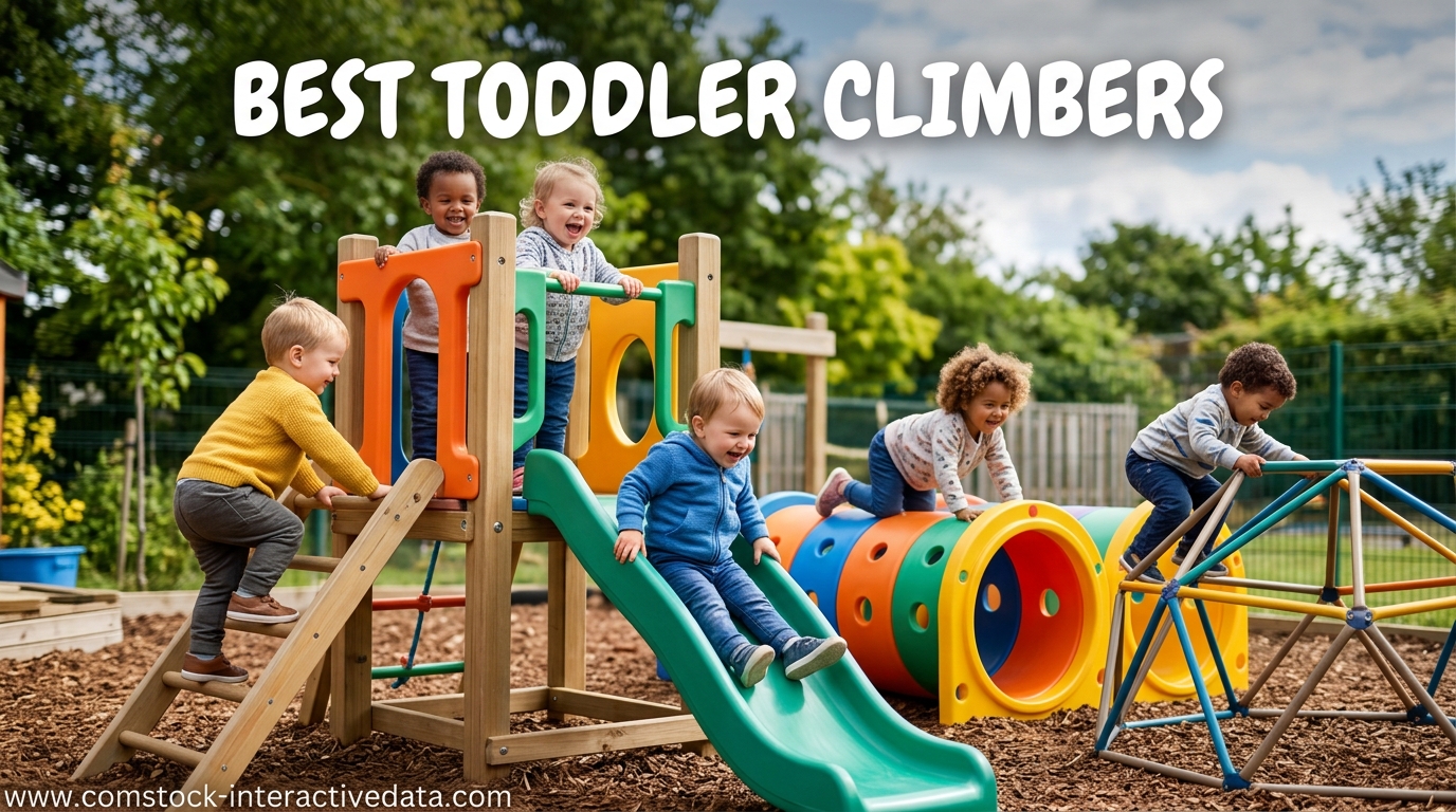 Best Toddler Climbers