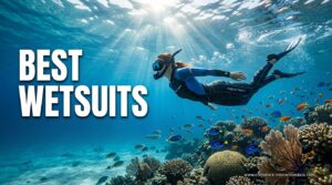 Best Wetsuits