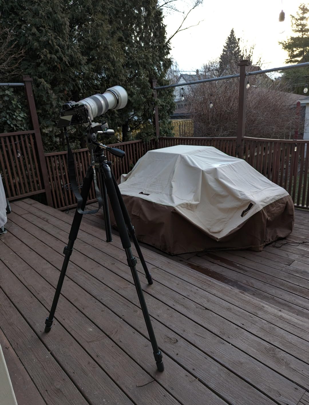 SLIK Pro 700 DX Tripod with 700DX 3-Way, Pan-and-Tilt Head - Titanium customer photo 2