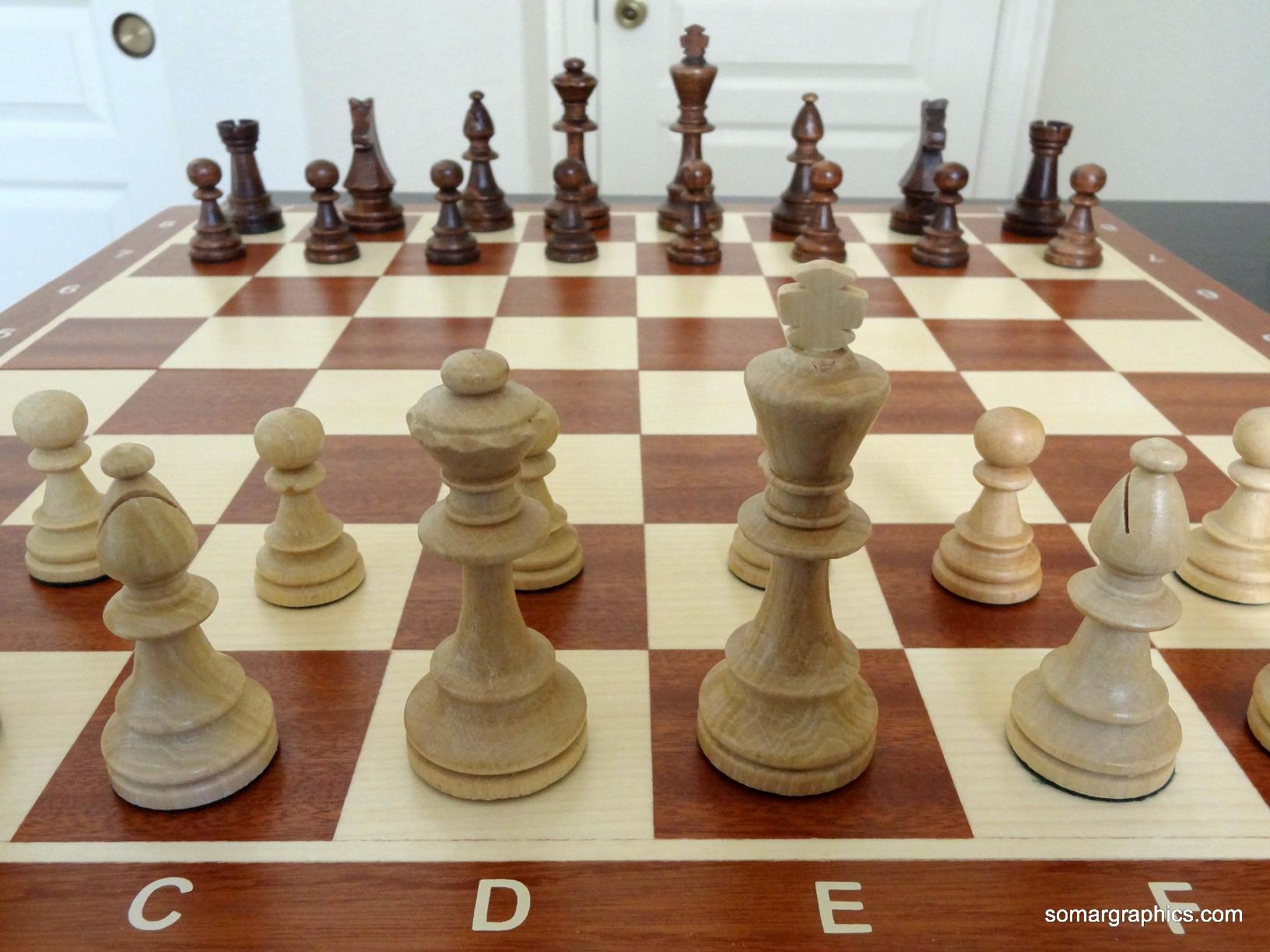 Wegiel Handmade European Professional Tournament Chess Set - Wooden 21 Inch Folding Board with Felt Base & Hand Carved Chess Pieces customer photo 1