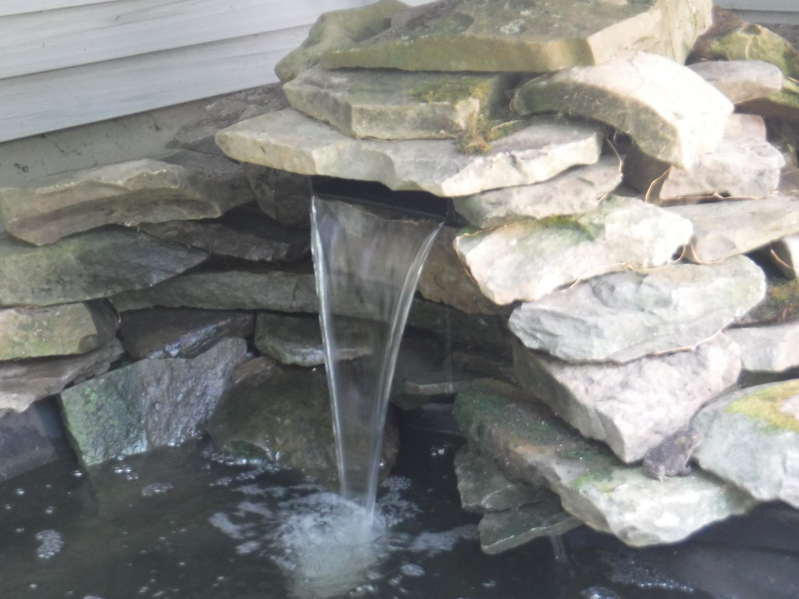 Tetra Water Garden Pond Pump, 1000 GPH, Powers Waterfalls, Filters and Fountains for Ponds 500 To 1000 Gallons customer photo 2