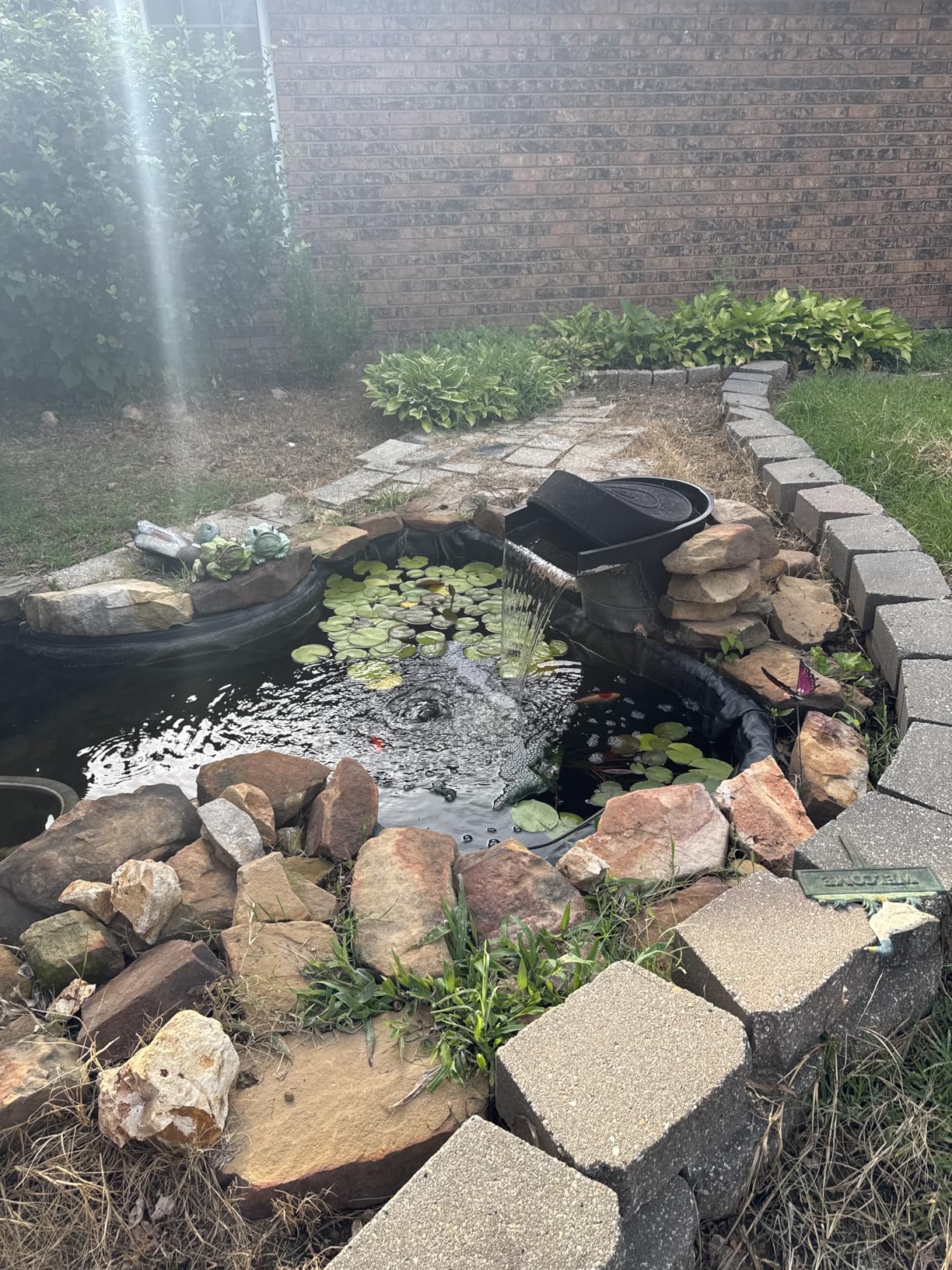 Alpine Corporation 2100 GPH Submersible Water Pump with 33 FT Cord and Adapters for Ponds, Fountains, Waterfalls, and Water Circulation, 192 Watts 20 FT Lift Quiet Operation Vertical/Horizontal customer photo 2