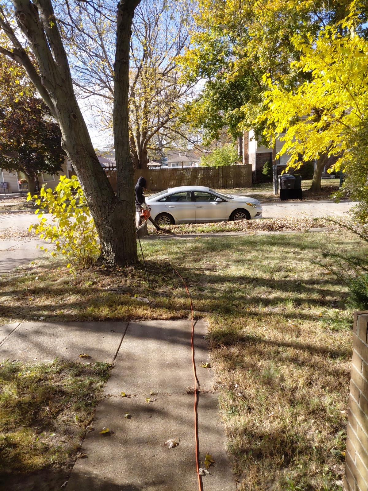 BLACK+DECKER Leaf Blower Leaf Vacuum and Leaf Mulcher 3-in-1 - BV6000 customer photo 2
