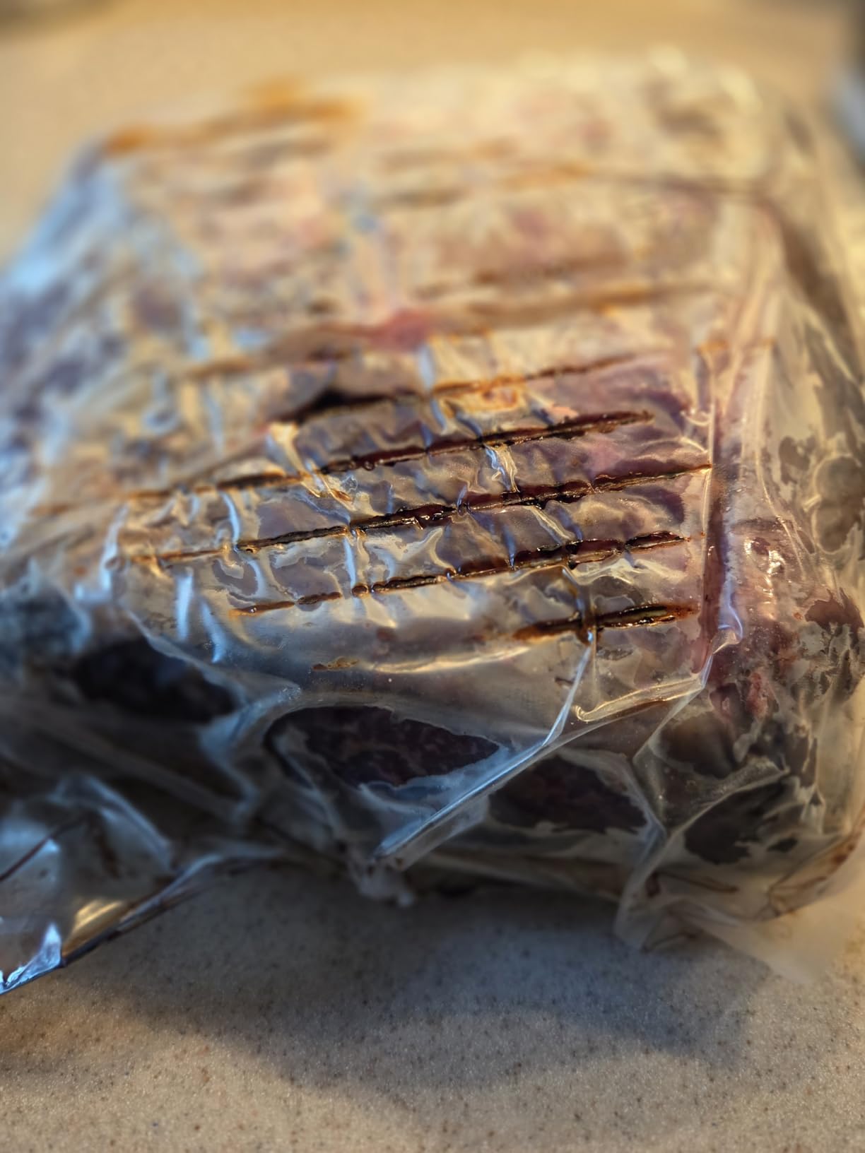 UMAi Dry Aging Bag for Steaks, Pack of 3, Dry Age Bags for Meat, Ribeye & Striploin Steak up to 12-18 lbs, Home Steak Ager Refrigerator Bags, No Vacuum Sealer Needed, Tender Aged Beef in 28-45 Days customer photo 2