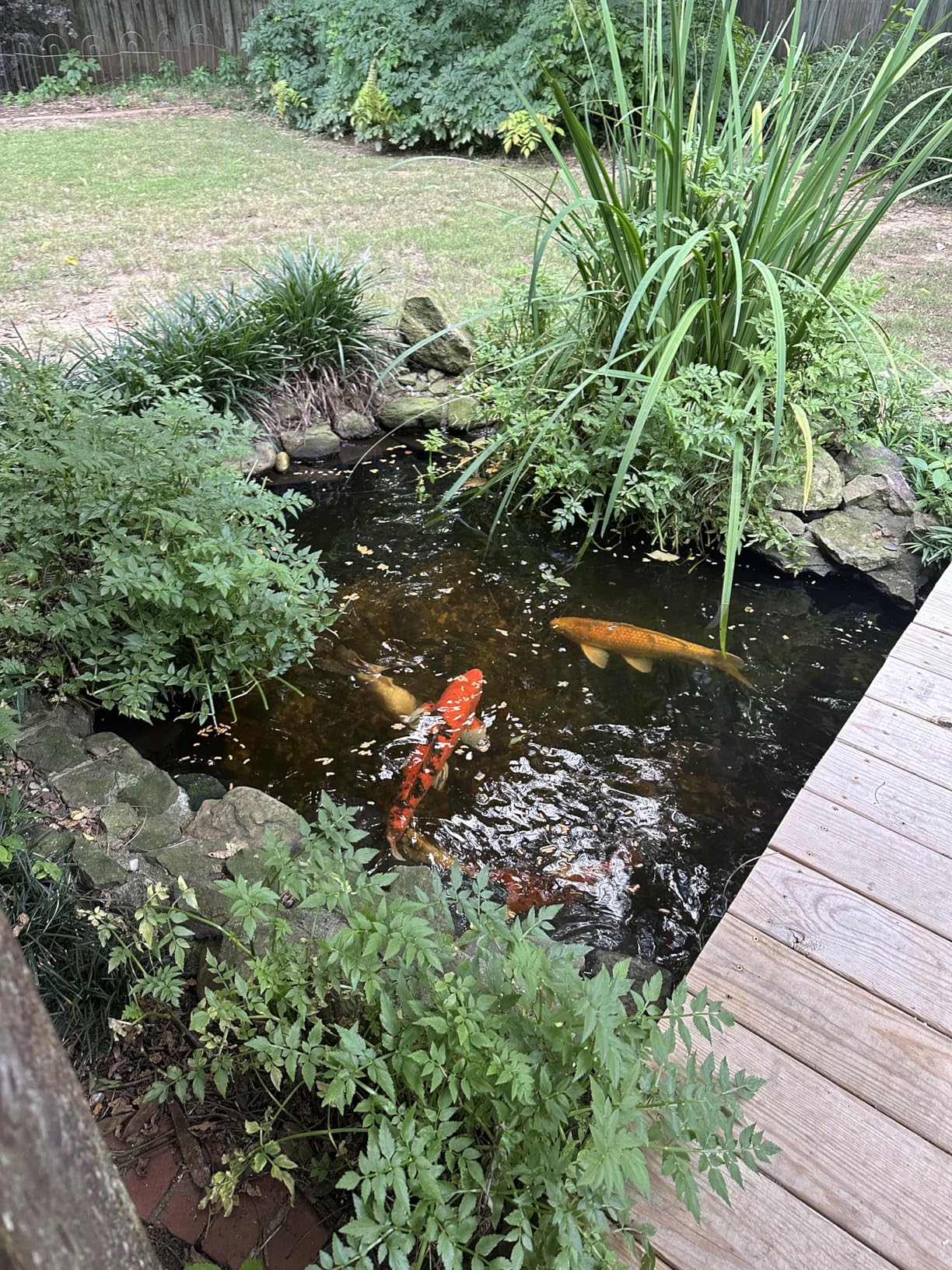 OASE BioSmart 5000 Pond Filter, Black customer photo 1