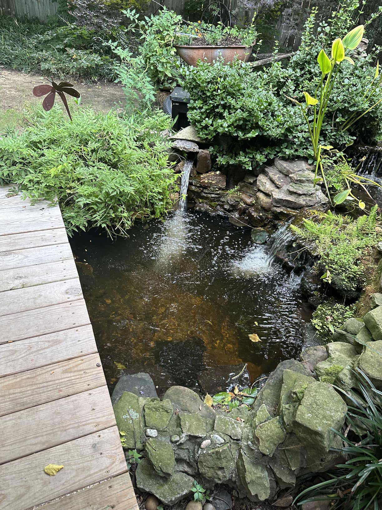 OASE BioSmart 5000 Pond Filter, Black customer photo 2