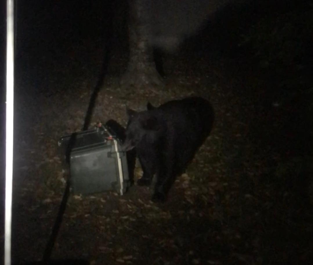 Pelican 70 Quart Elite Cooler customer photo 2