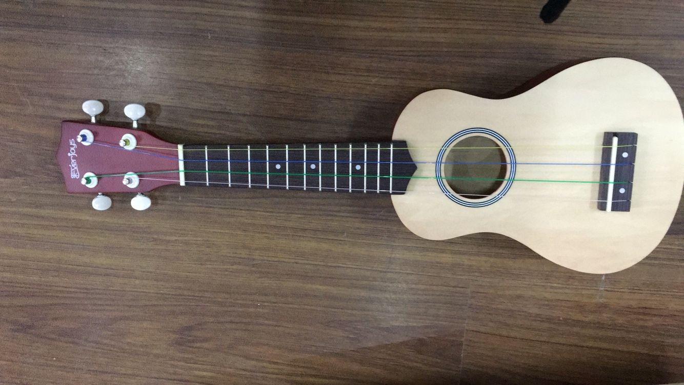 Everjoys Soprano Ukulele Beginner Kit 21 Inch w/Free Online Lesson Gig Bag Tuner Picks Strap, Fast to Learn (Rainbow String) customer photo 2