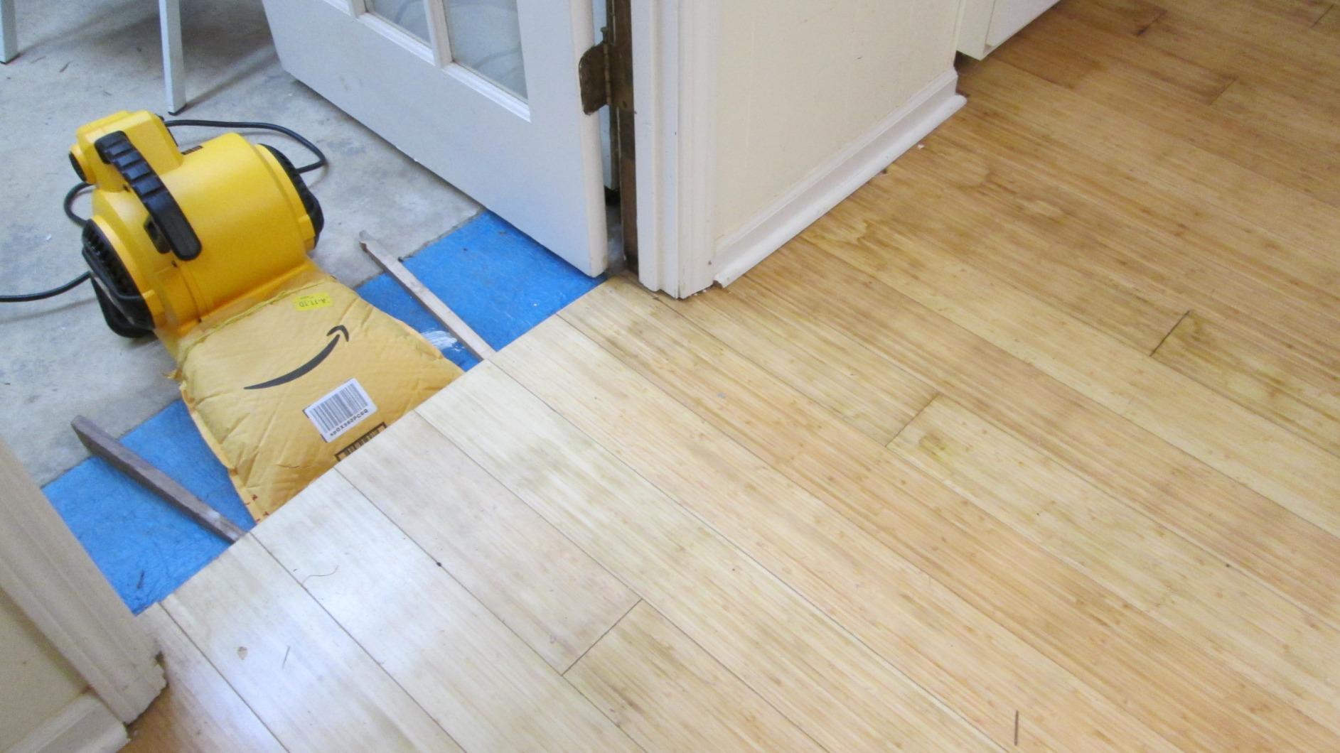 DEWALT Portable Air Mover, 276W 3 Speed Floor Fan, Utility Blower Fan, 1/5 HP 600 CFM Floor Dryer (DXAM-2260) customer photo 2