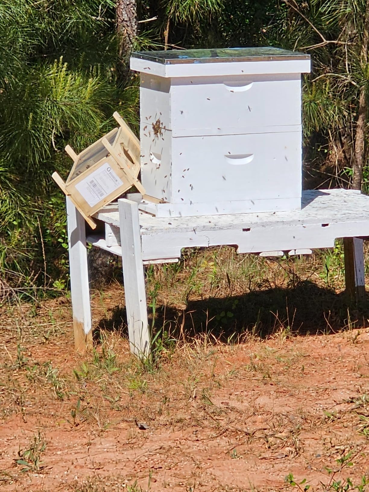 NuBee 8-Frame Beehive Kit - Unassembled Langstroth Hive with 2 Deep & 1 Medium Boxes, Frames & 100% Wax-Coated Foundations | Lightweight Fir & Pine Construction customer photo 1