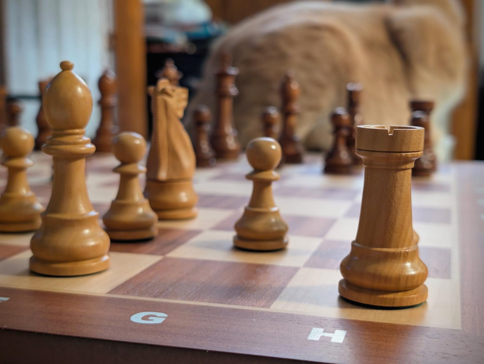 House of Chess - Tournament Chess Set Pieces - Unique Staunton Golden Acacia Wood/Boxwood - King Height: 3.75