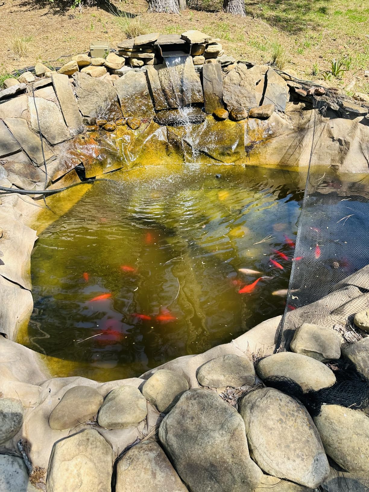 Half Off Ponds - HOPBP-4000H - Pressure Filter with 36-Watt UV for Ponds Up to 4,000 Gallons customer photo 1