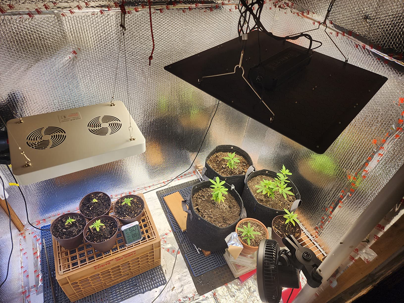AC Infinity IONBOARD S22, LED Grow Light Board with Samsung LM301H Diodes, Deeper Penetration Full Spectrum Lighting, for Veg Bloom Indoor Plants in Grow Tents Greenhouses (2x2) customer photo 2