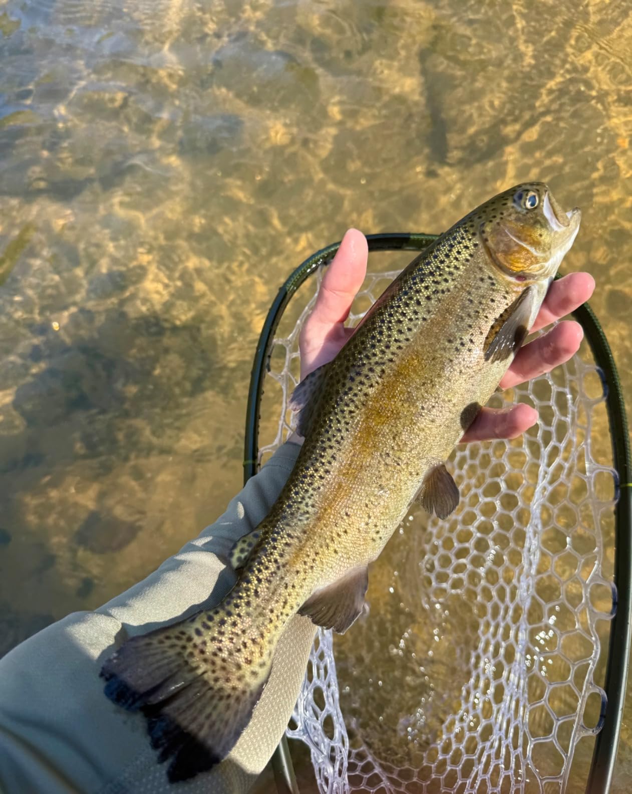 Redington Butter Stick Fly Rod with Tube, 3WT 7'0