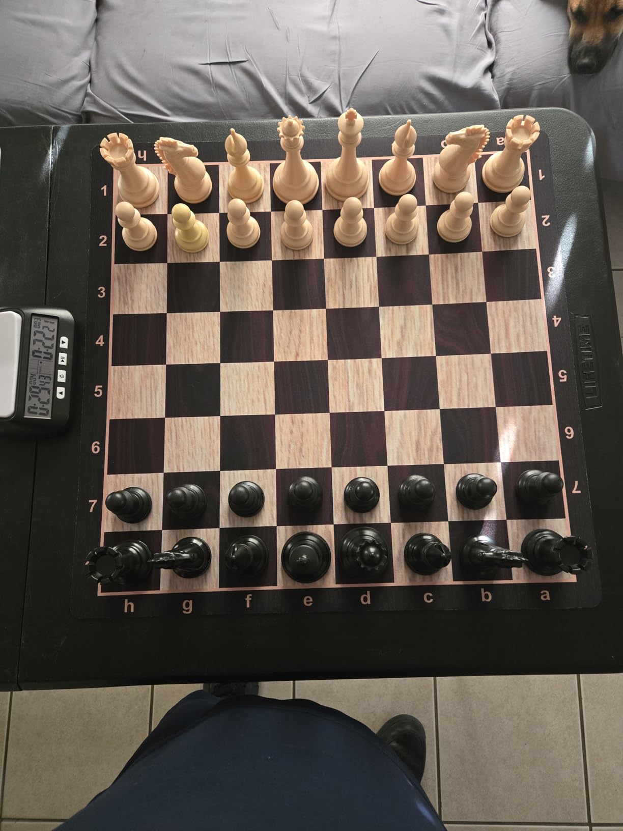 Best Chess Set Ever 4X Tournament Modern Chess Set with Weighted Staunton Pieces, 20x20 Double-Sided Silicone Board, Strategy Guide and Storage Bags customer photo 1
