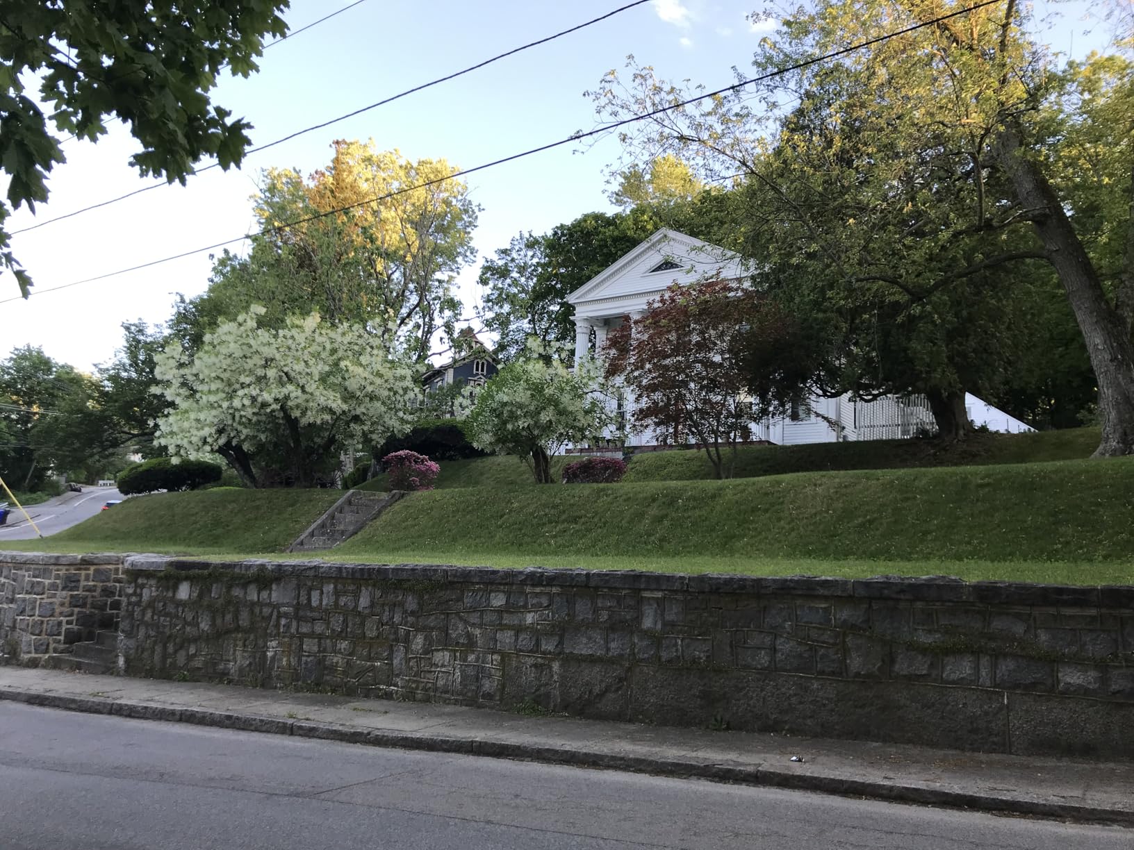 Remote Controlled Lawn Mower | 55 Degree Slope Capability | Hybrid Self-Charging Dual Battery | Brushless Motors | Zero Turn | Adjustable Cutting Deck (Mower) customer photo 2