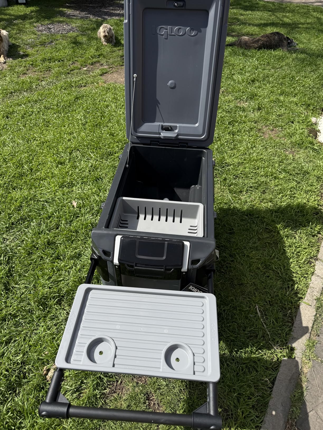 Igloo Trailmate Journey 70Qt Wheeled Cooler | Insulated Hard Shell Ice Chest customer photo 1