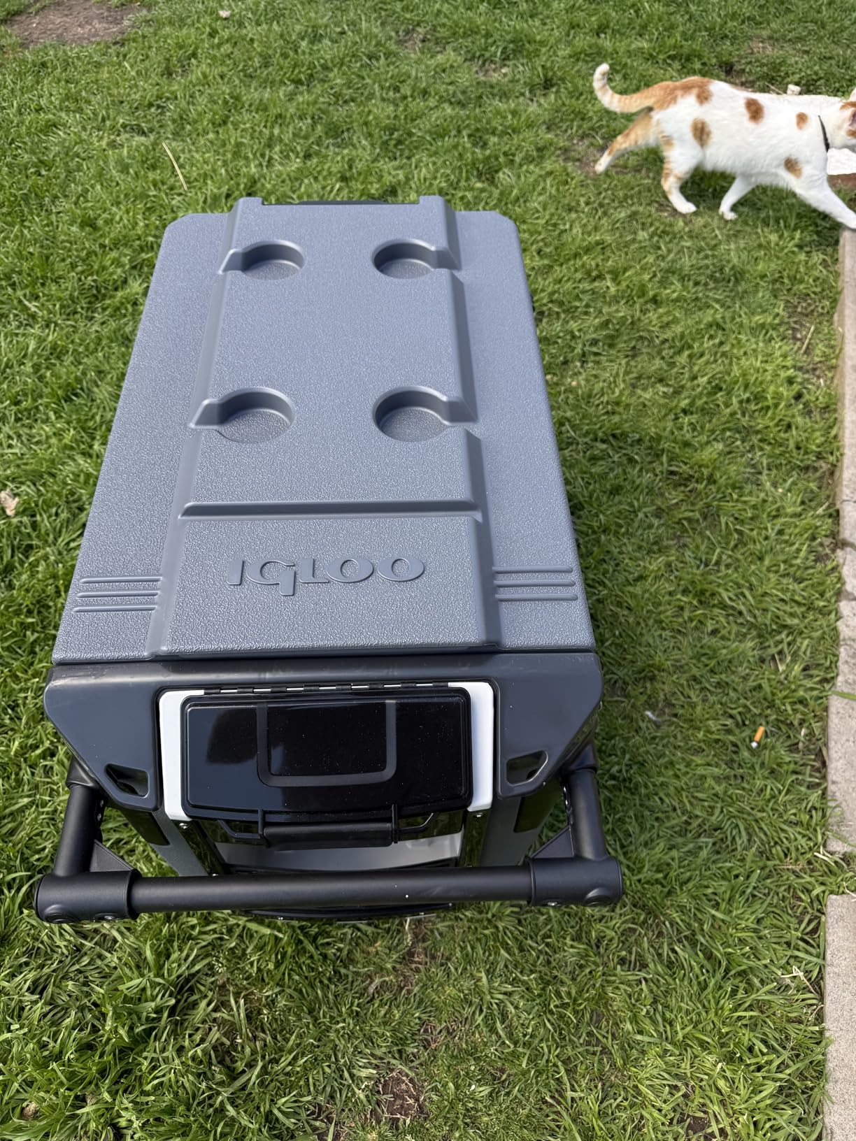 Igloo Trailmate Journey 70Qt Wheeled Cooler | Insulated Hard Shell Ice Chest customer photo 2