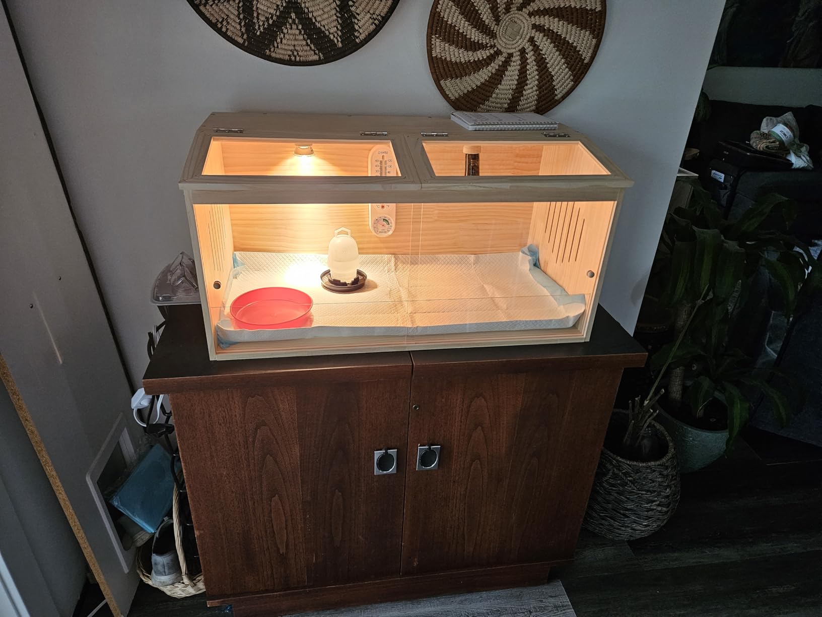 Large Wooden Chicken Brooder Box with Bulb Set and Thermometer - Brooder Box for Chicks Indoor Accommodates Up to 12 Chicks - Ideal for Chickens, Ducks, Quails, Hamsters, and Lizards (32x16x16 Inches) customer photo 2
