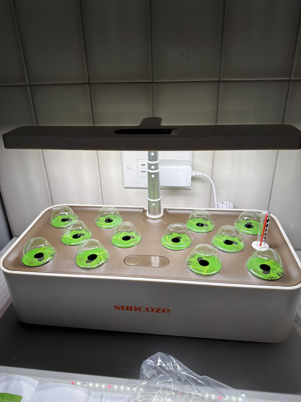 SUNCOZE Hydroponics Growing System Kit 12 Pods, 24W LED Grow Light Indoor Garden, 4L Water Tank with Quiet Pump, Adjustable Height Herb Garden Planter Indoor Kit, Gardening Gifts, Black customer photo 2