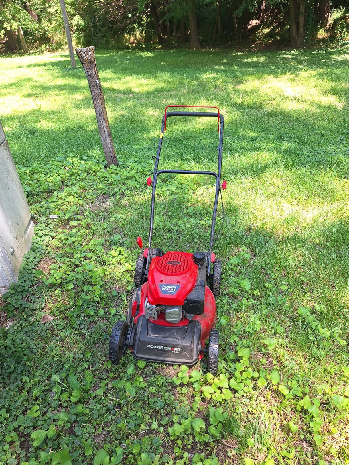 PowerSmart 22 in. 170cc Self Propelled Gas Lawn Mower Rear-Wheel-Drive, 3-in-1 Mulch/Bag/Rear Discharge, Steel Deck, 6 Height Adjustment customer photo 2