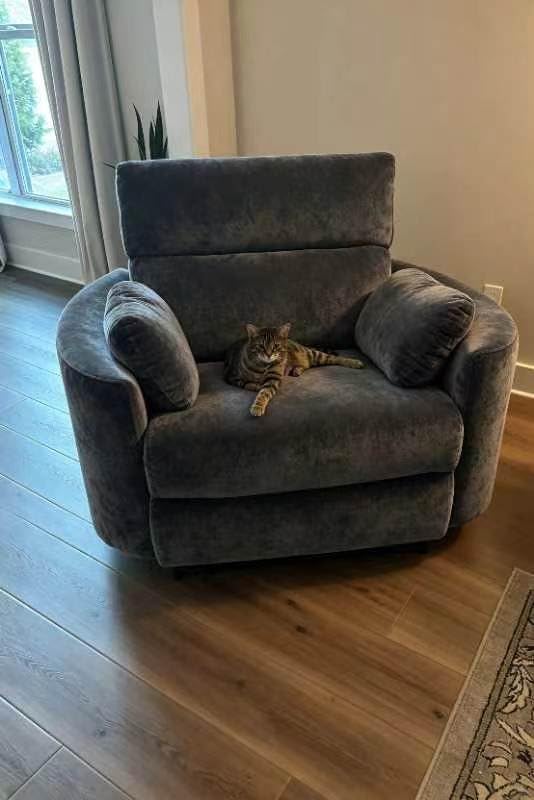 450lbs Oversized Power Recliner Chair, 52