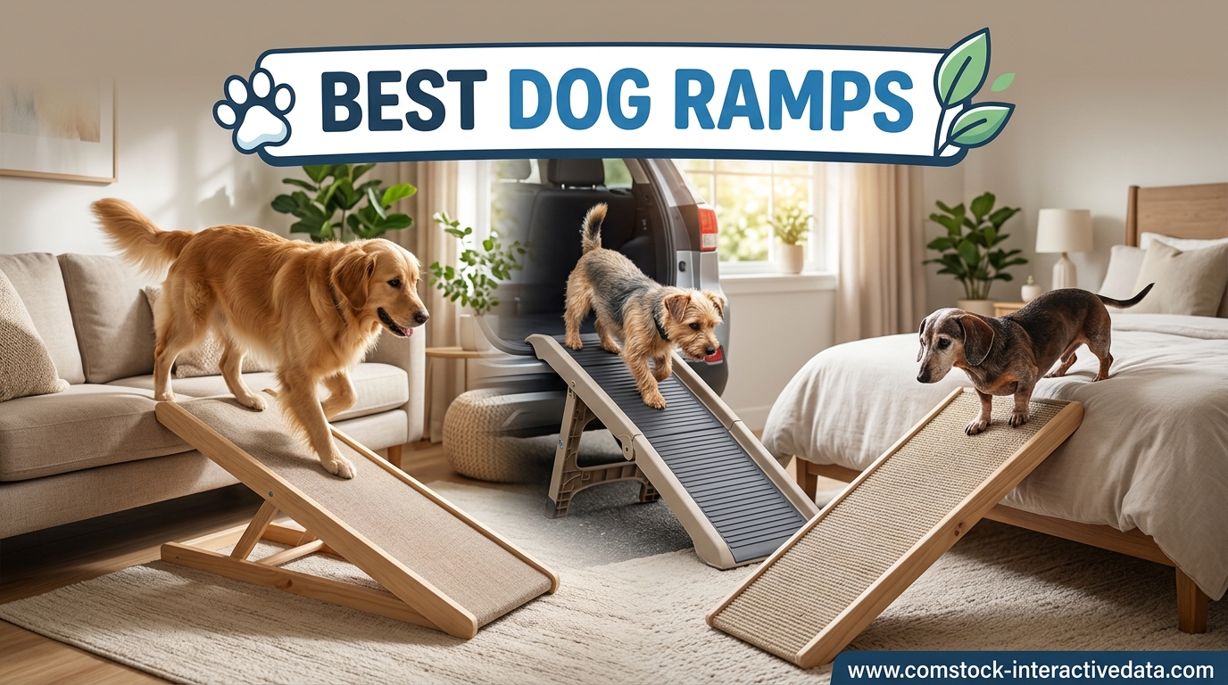 Best Dog Ramps