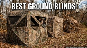Best Ground Blinds
