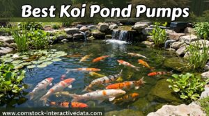 Best Koi Pond Pumps