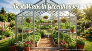 Best Walk in Greenhouses