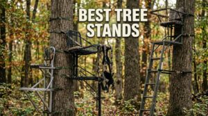 best tree stands