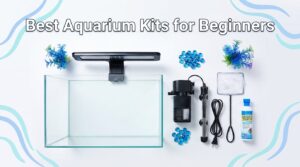 best aquarium kits for beginners
