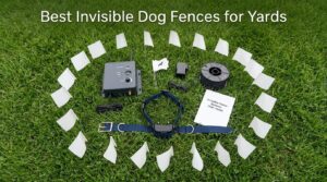 best invisible dog fences for yards