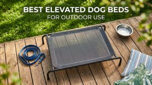 best elevated dog beds for outdoor use