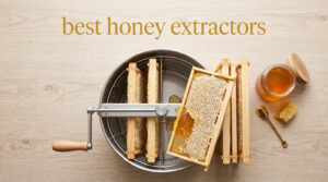 best honey extractors