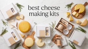 best cheese making kits